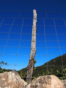 Wildzaun wildlife fence mesh photo