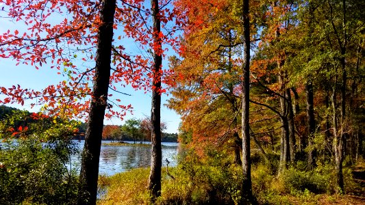 Daingerfield State Park