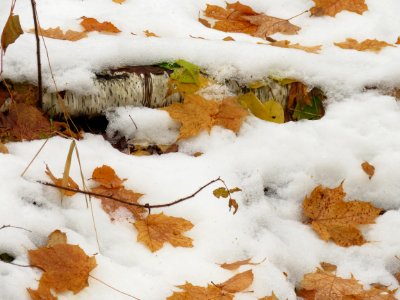 20191016-FS-Superior-SAR-014