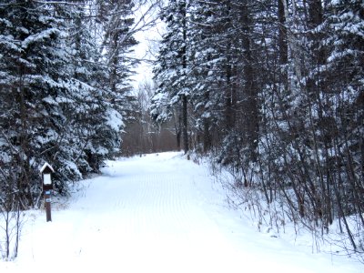 Ski trail photo