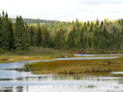 2019-FS-Superior-SAR-009