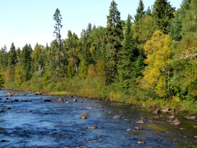 Temperance River side photo