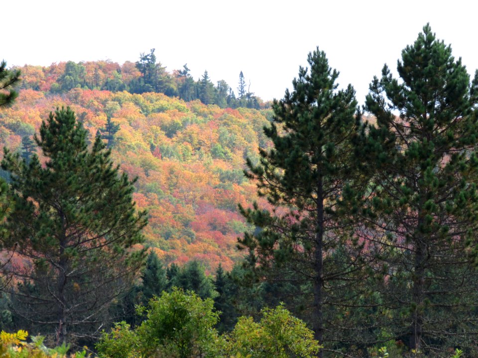 Red hillside