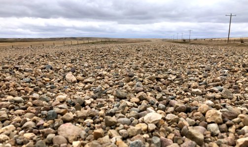 Belly On The Gravel Road