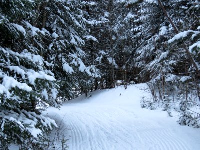 Sugarbush cross country ski trail