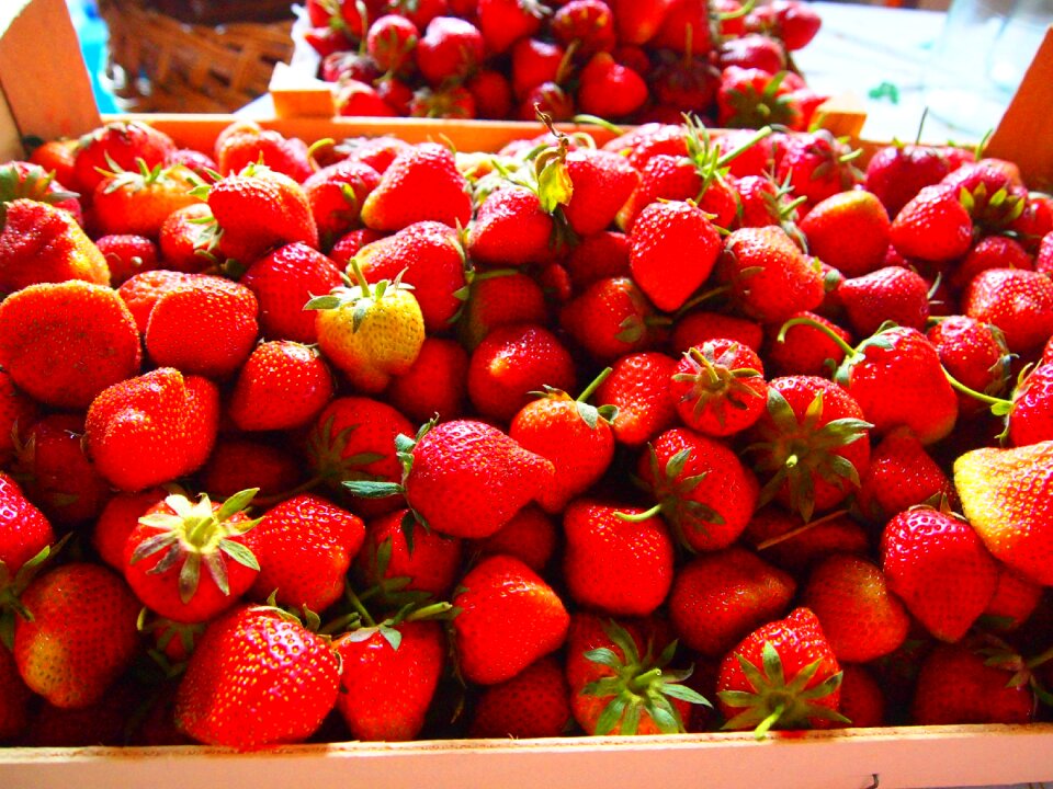 Fruit strawberry still life