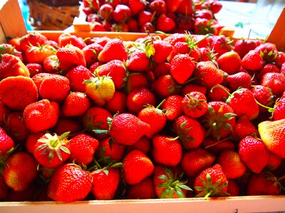 Fruit strawberry still life