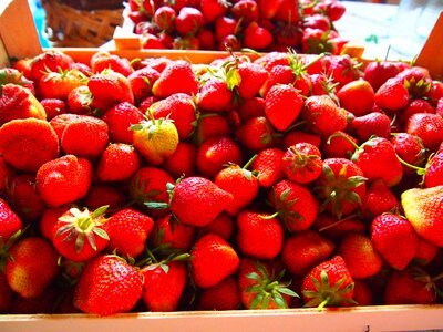 Fruit strawberry still life photo