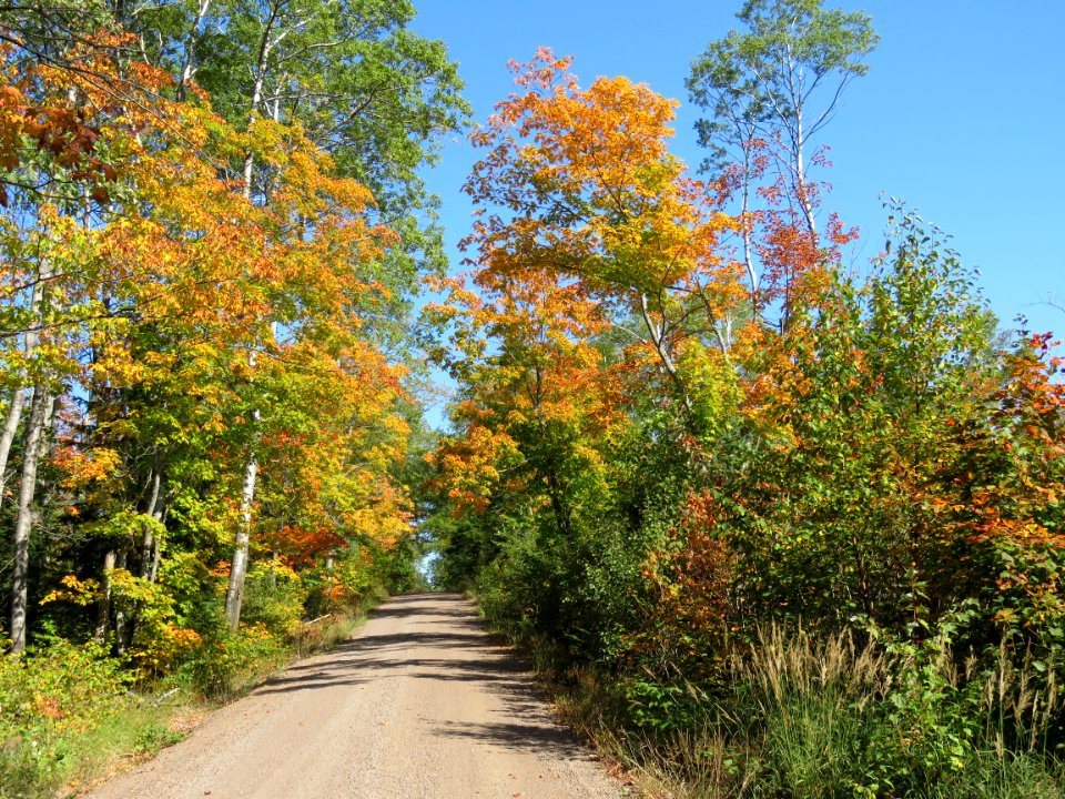 Along the fall color route 2