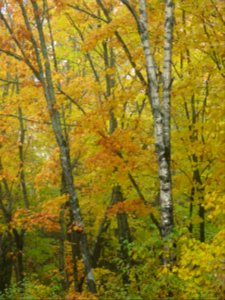 20181003-FS-Superior-SAR-014