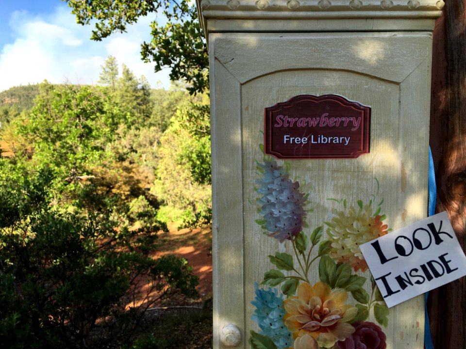 Strawberry Free Library is Open