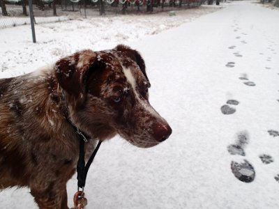 Less Photos, More Walk, Willya!