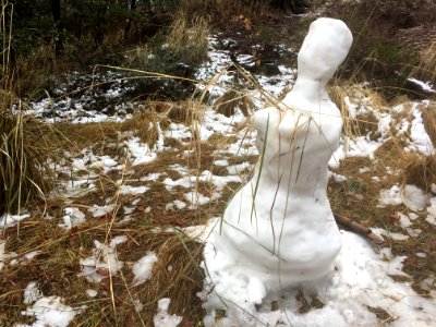 Snow Maiden Found in the Forest photo