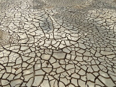 Cracks dry earth