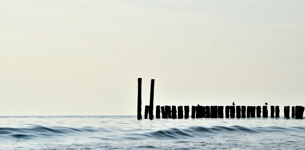 Ocean wooden horizon