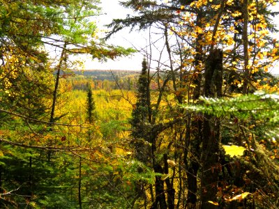 171004-FS-Superior-SAR-ninemiletrail
