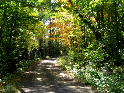 Along the fall color route 4