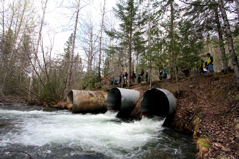 Culverts - fish passage workshop