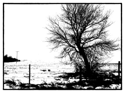 Today's Forecast Includes a Strong Possibility of High Contrast
