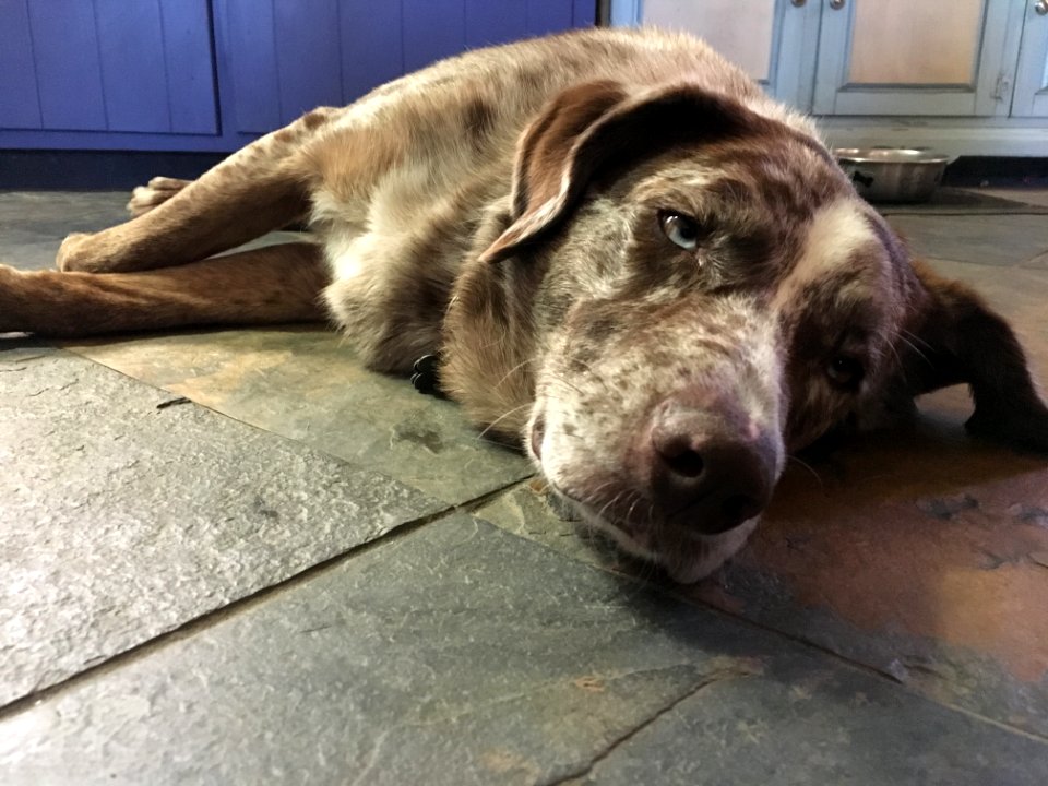 Man, Work Is Hard