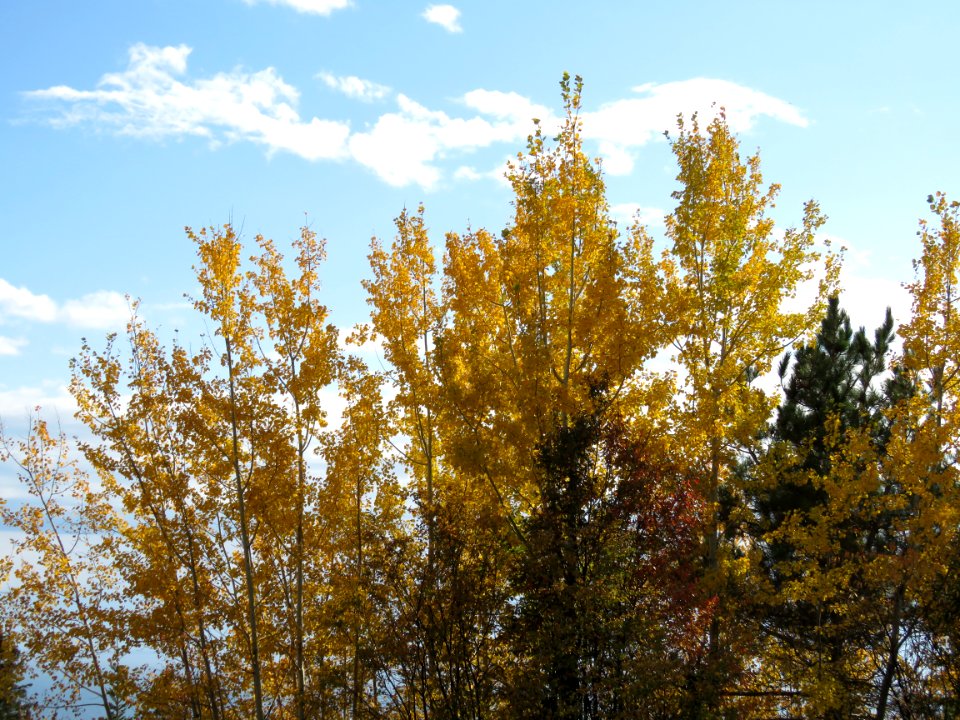 20201006-FS-Superior-SAR-011