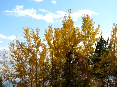 20201006-FS-Superior-SAR-011