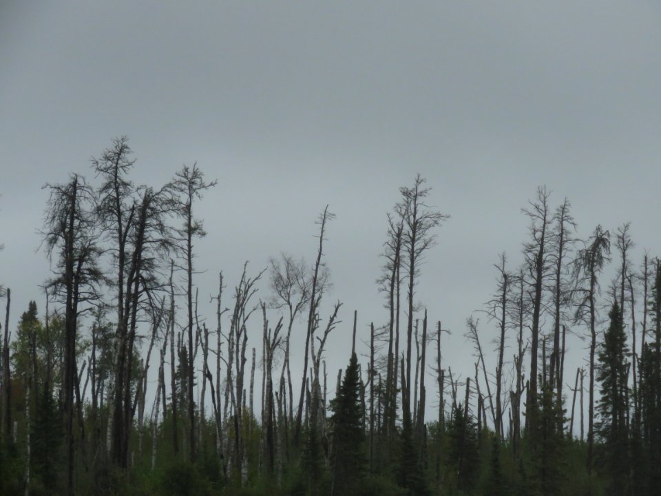 20190910-FS-Superior-SAR-015