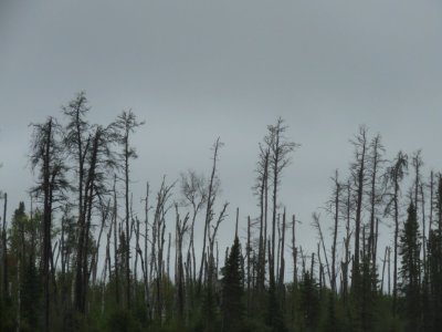 20190910-FS-Superior-SAR-015