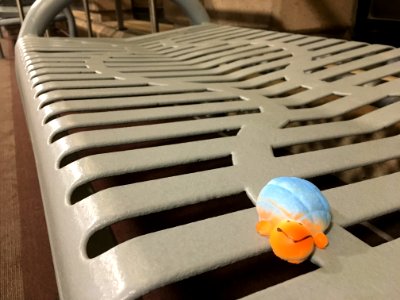 Left Behind at Terminal 4 TSA