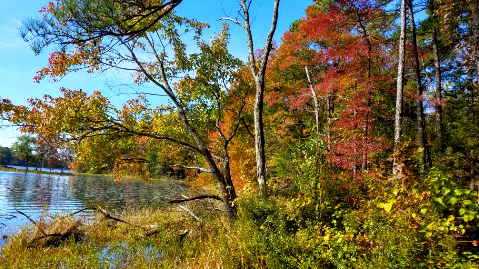 Daingerfield State Park