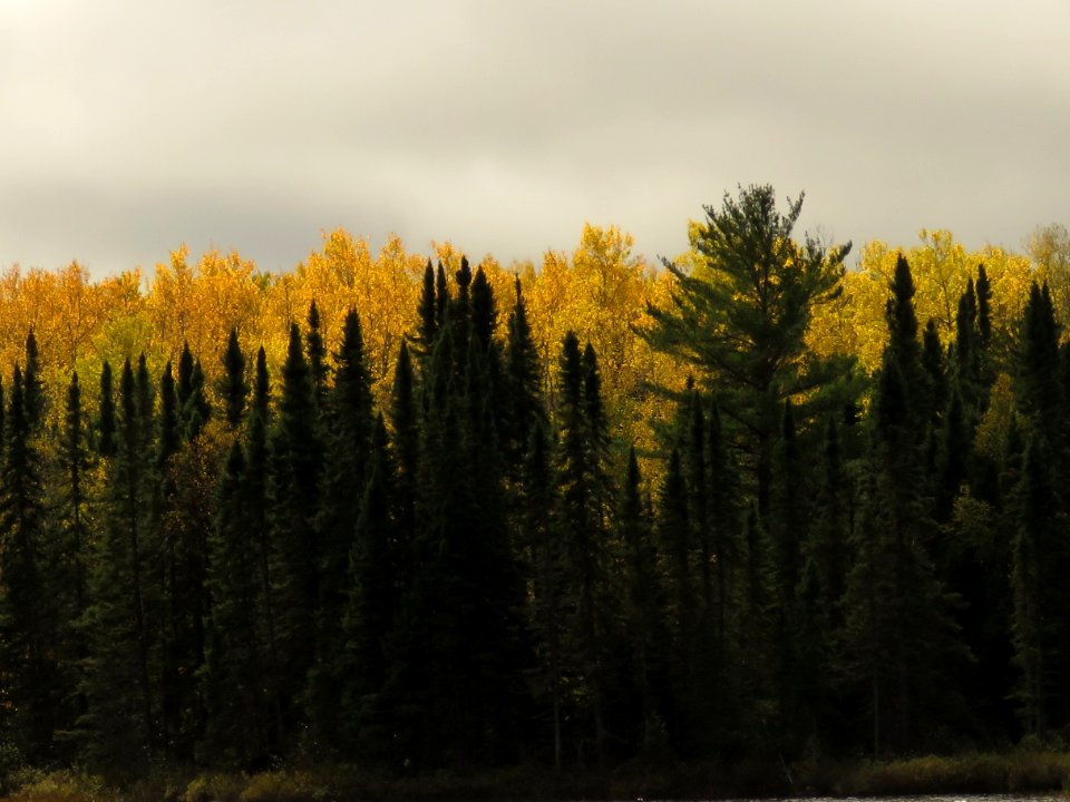 2019-FS-Superior-SAR-007