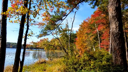 Daingerfield State Park photo