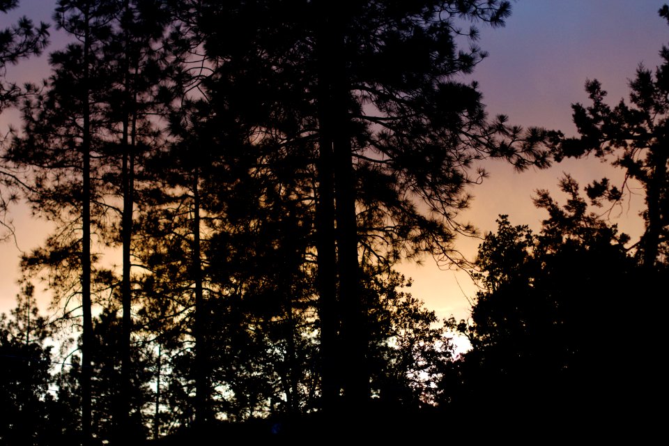 Pastel Evenings