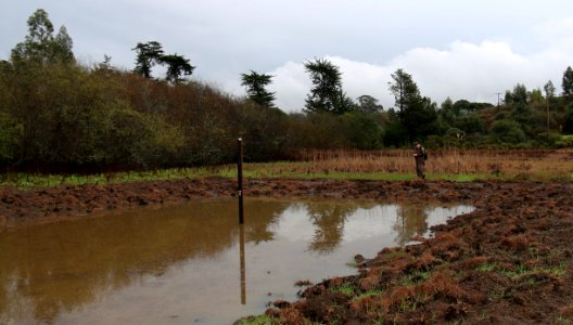 Pond enhancement