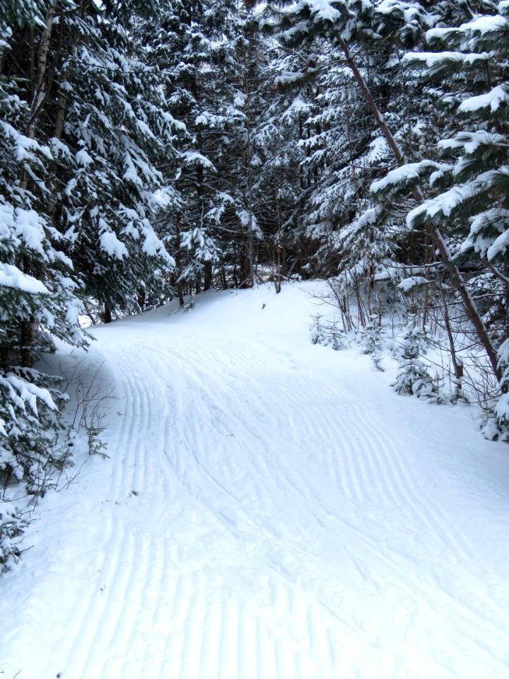 Sugarbush cross country ski trail photo