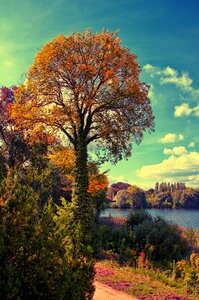 Nature landscape bank