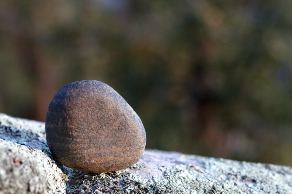 Entrusted With the Last Rock