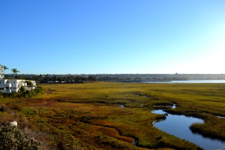 Mission Bay Wetlands - Urban/Wetland interface
