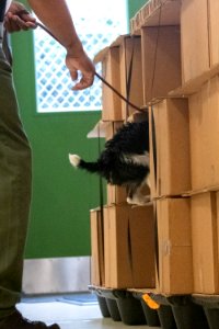 20190404-OSEC-LSC-0317