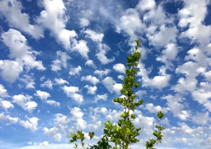 2019/365/157 One and the Sky photo