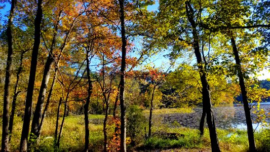 Daingerfield State Park