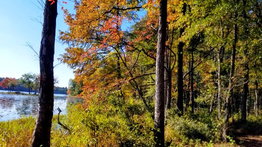 Daingerfield State Park photo