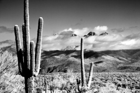 2009/365/357 Blown Out Desert
