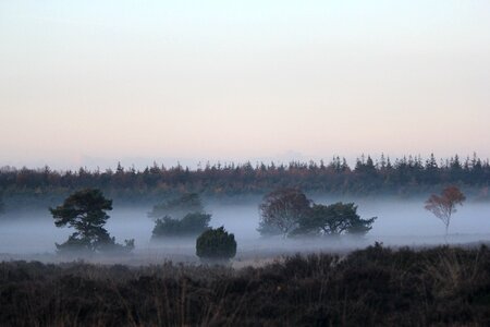 Fog patches netherlands autumn
