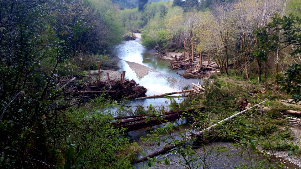 Lower Klamath River Restoration project