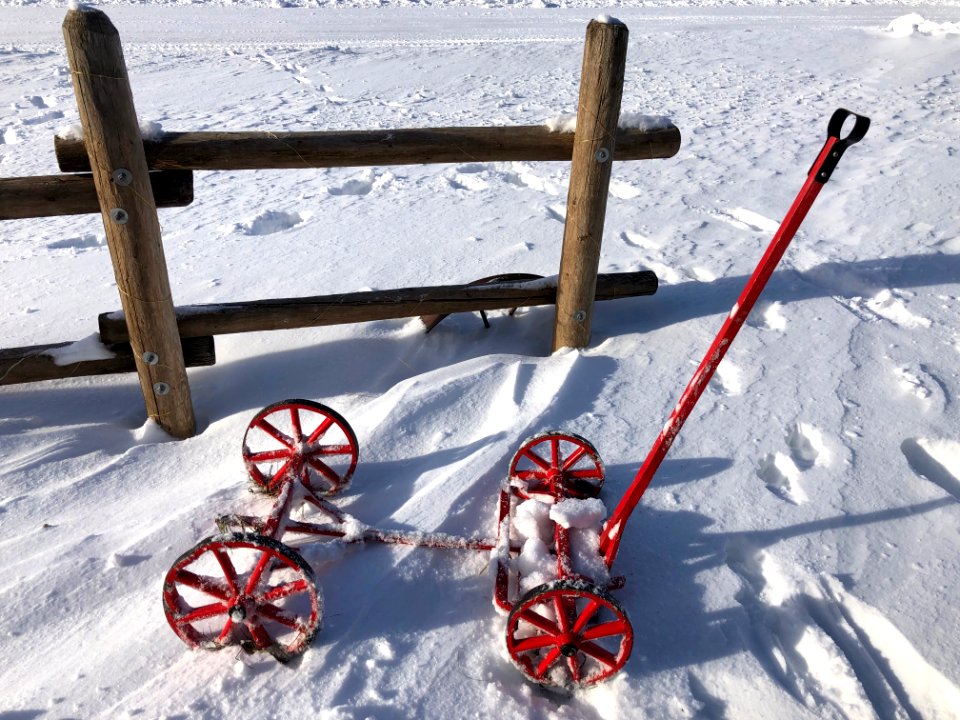 Rescued from the Snow Bankl