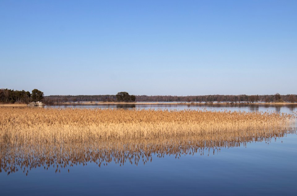 Åsnens National Park