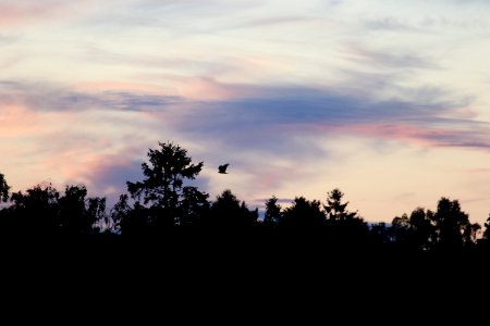 Ølene, Bornholm