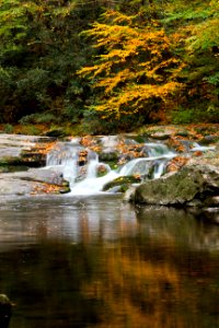 Laurel Creek, October 2012--Warren Bielenberg