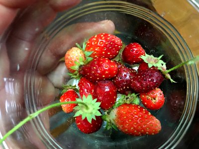 2017/365/252 Home Grown Berries photo